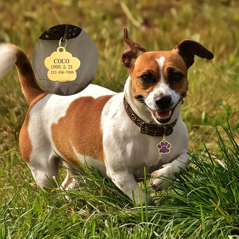 Kişiselleştirilmiş Köpek ve Ke - Phone Accessories And Names incelemesi ve fiyatı